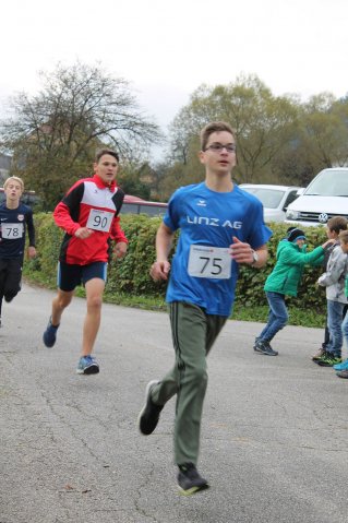 crosscountry2016_bezirkperg 59